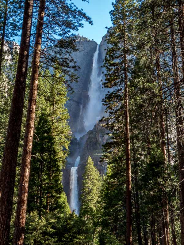 Yosemite Falls as seen near ths start of the Valley Loop Trail